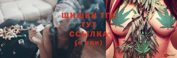 твердый Вяземский