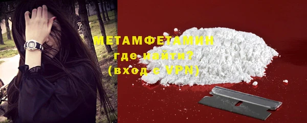 индика Вязьма