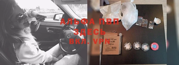 spice Володарск