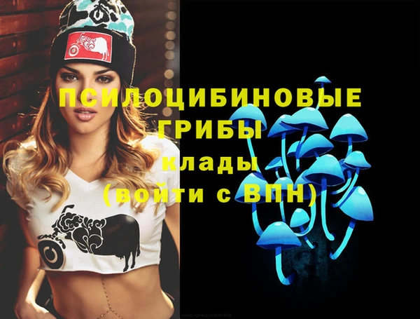 spice Володарск