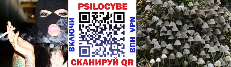 Галлюциногенные грибы GOLDEN TEACHER  Купить где  Курлово 